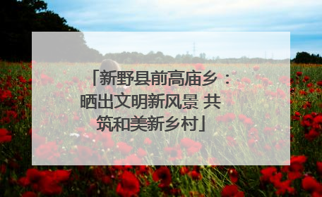 新野县前高庙乡：晒出文明新风景 共筑和美新乡村