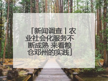 新闻调查丨农业社会化服务不断成熟 来看粮仓邓州的实践