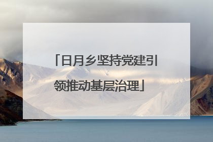 日月乡坚持党建引领推动基层治理