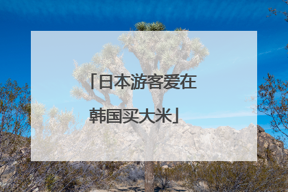 日本游客爱在韩国买大米