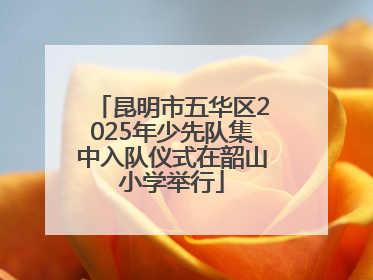 昆明市五华区2025年少先队集中入队仪式在韶山小学举行