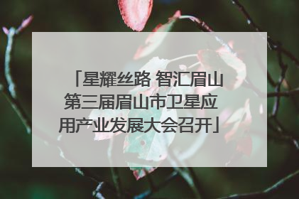 星耀丝路 智汇眉山 第三届眉山市卫星应用产业发展大会召开