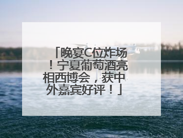 晚宴C位炸场！宁夏葡萄酒亮相西博会，获中外嘉宾好评！