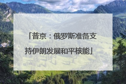 普京：俄罗斯准备支持伊朗发展和平核能