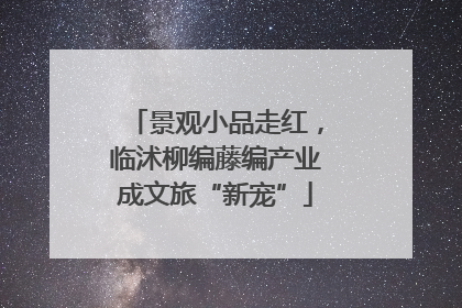 景观小品走红，临沭柳编藤编产业成文旅“新宠”