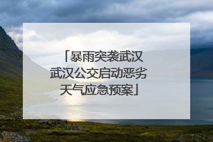 暴雨突袭武汉 武汉公交启动恶劣天气应急预案