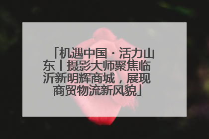 机遇中国・活力山东丨摄影大师聚焦临沂新明辉商城，展现商贸物流新风貌