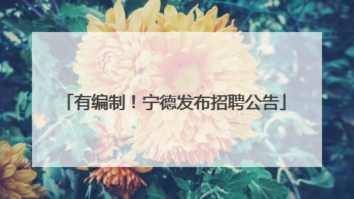 有编制！宁德发布招聘公告