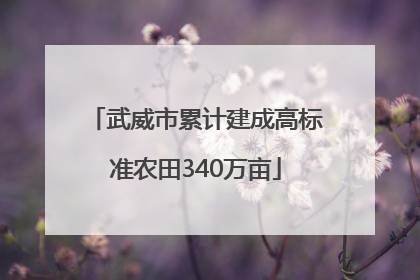 武威市累计建成高标准农田340万亩