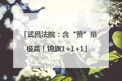 武昌法院：含“赞”量极高！锦旗1+1+1