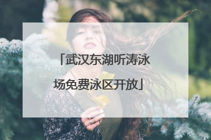 武汉东湖听涛泳场免费泳区开放