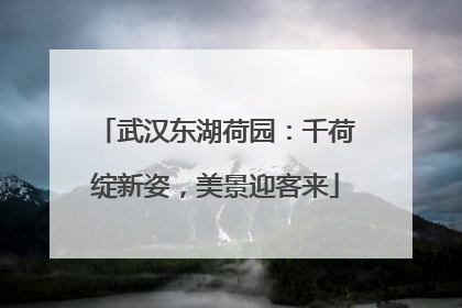 武汉东湖荷园：千荷绽新姿，美景迎客来
