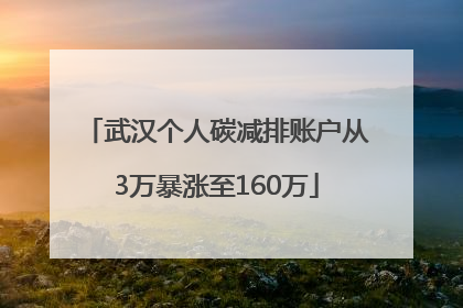 武汉个人碳减排账户从3万暴涨至160万