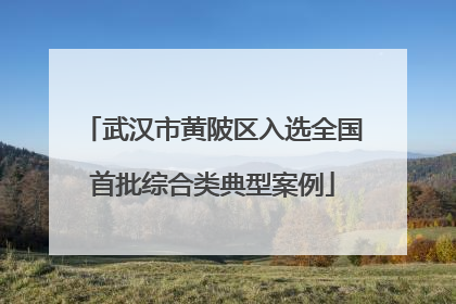 武汉市黄陂区入选全国首批综合类典型案例
