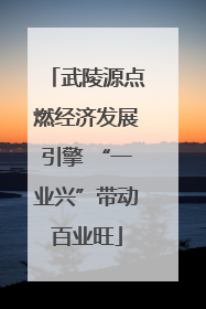武陵源点燃经济发展引擎 “一业兴”带动百业旺