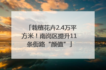 栽植花卉2.4万平方米！南岗区提升11条街路“颜值”