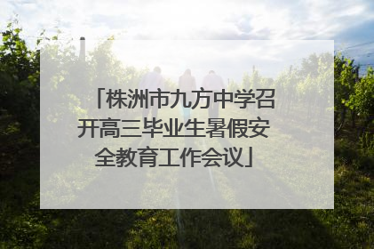 株洲市九方中学召开高三毕业生暑假安全教育工作会议