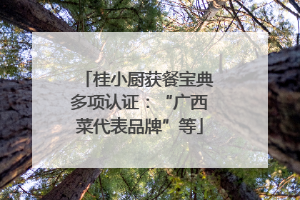 桂小厨获餐宝典多项认证：“广西菜代表品牌”等