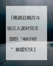 桃源县观音寺镇会人溪村党支部的“48小时”救援纪实