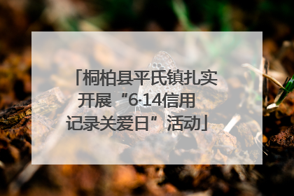 桐柏县平氏镇扎实开展“6·14信用记录关爱日”活动