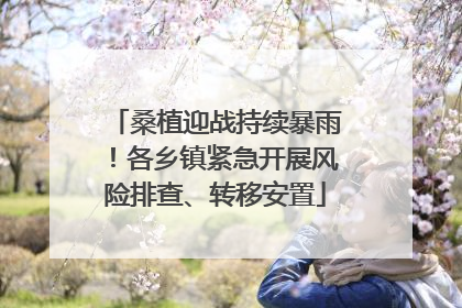桑植迎战持续暴雨！各乡镇紧急开展风险排查、转移安置