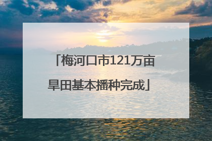 梅河口市121万亩旱田基本播种完成