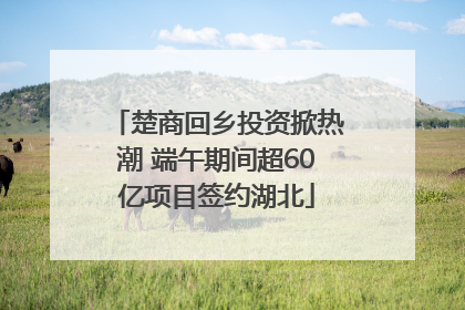 楚商回乡投资掀热潮 端午期间超60亿项目签约湖北