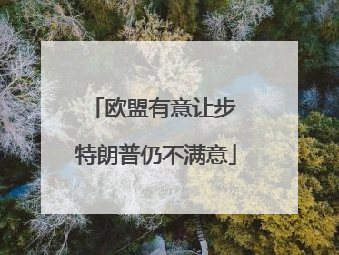 欧盟有意让步 特朗普仍不满意