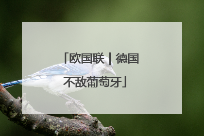 欧国联｜德国不敌葡萄牙