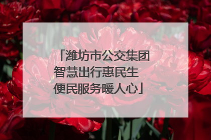 潍坊市公交集团智慧出行惠民生 便民服务暖人心