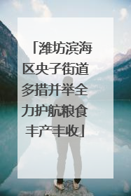 潍坊滨海区央子街道多措并举全力护航粮食丰产丰收