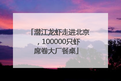 潜江龙虾走进北京，100000只虾席卷大厂餐桌