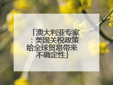 澳大利亚专家：美国关税政策给全球贸易带来不确定性