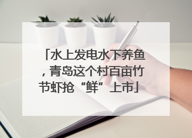 水上发电水下养鱼，青岛这个村百亩竹节虾抢“鲜”上市