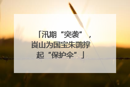 汛期“突袭”，崀山为国宝朱鹮撑起“保护伞”