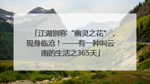 江湖别称“幽灵之花”，现身临沧！——有一种叫云南的生活之365天