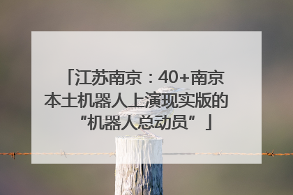 江苏南京：40+南京本土机器人上演现实版的“机器人总动员”