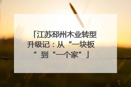 江苏邳州木业转型升级记：从“一块板”到“一个家”