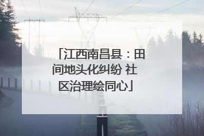 江西南昌县：田间地头化纠纷 社区治理绘同心