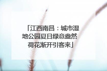 江西南昌：城市湿地公园夏日绿意盎然 荷花渐开引客来