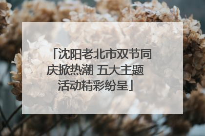 沈阳老北市双节同庆掀热潮 五大主题活动精彩纷呈