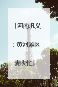 河南巩义：黄河滩区麦收忙
