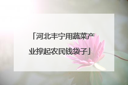 河北丰宁用蔬菜产业撑起农民钱袋子