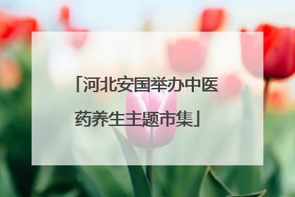 河北安国举办中医药养生主题市集