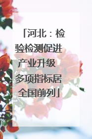 河北：检验检测促进产业升级 多项指标居全国前列