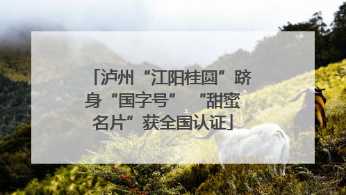 泸州“江阳桂圆”跻身“国字号” “甜蜜名片”获全国认证
