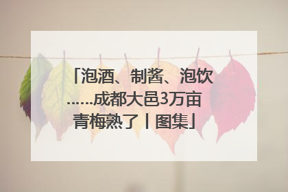 泡酒、制酱、泡饮……成都大邑3万亩青梅熟了丨图集
