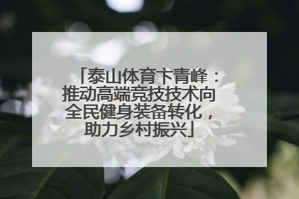 泰山体育卞青峰：推动高端竞技技术向全民健身装备转化，助力乡村振兴