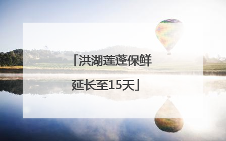 洪湖莲蓬保鲜延长至15天