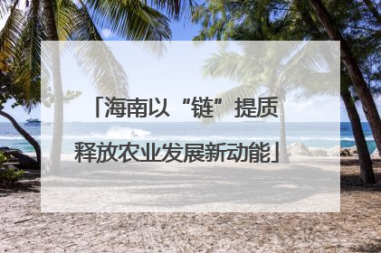 海南以“链”提质 释放农业发展新动能